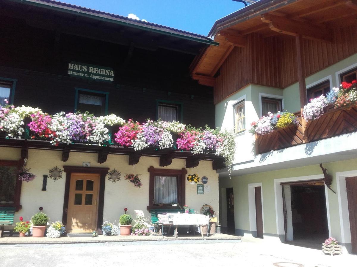 Ferienhaus Regina ヴェルフェンヴェンク エクステリア 写真